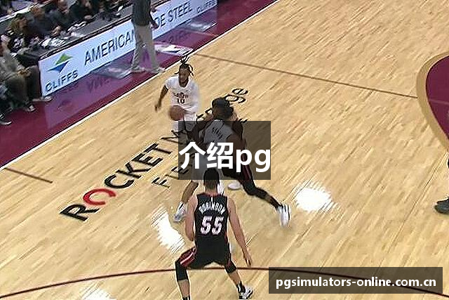 介绍pg
